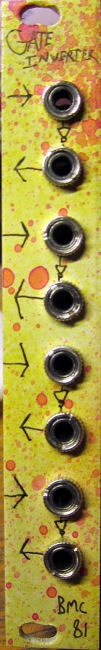 picture of the module