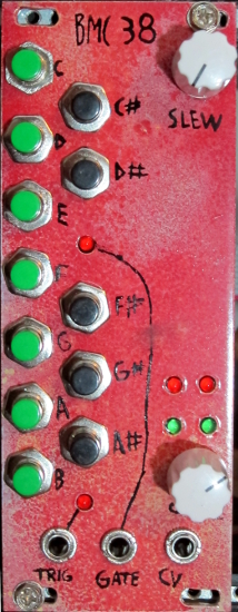 picture of the module